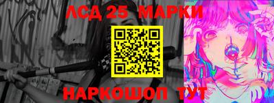 СК Новозыбков