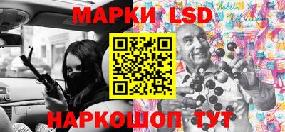 СК Новозыбков