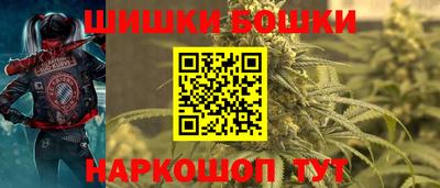СК Новозыбков
