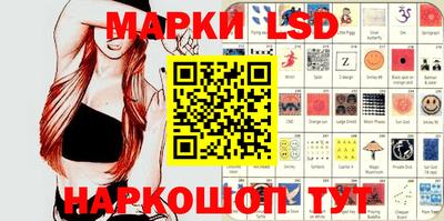 СК Новозыбков