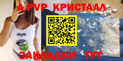 стаф Новодвинск