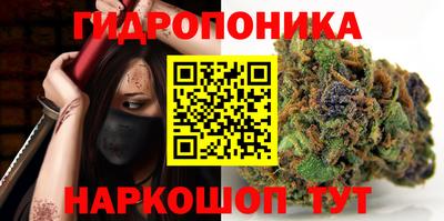 СК Новозыбков