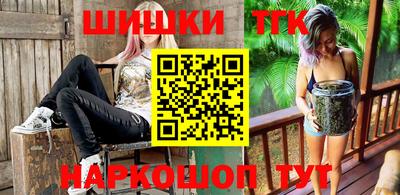стаф Новодвинск
