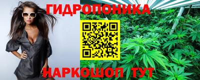 каннабис Новокубанск