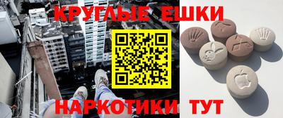 СК Новозыбков