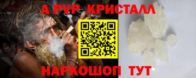 стаф Новодвинск
