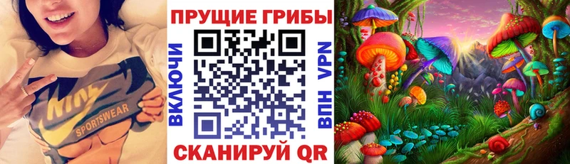 закладка  Сафоново  Псилоцибиновые грибы Cubensis 