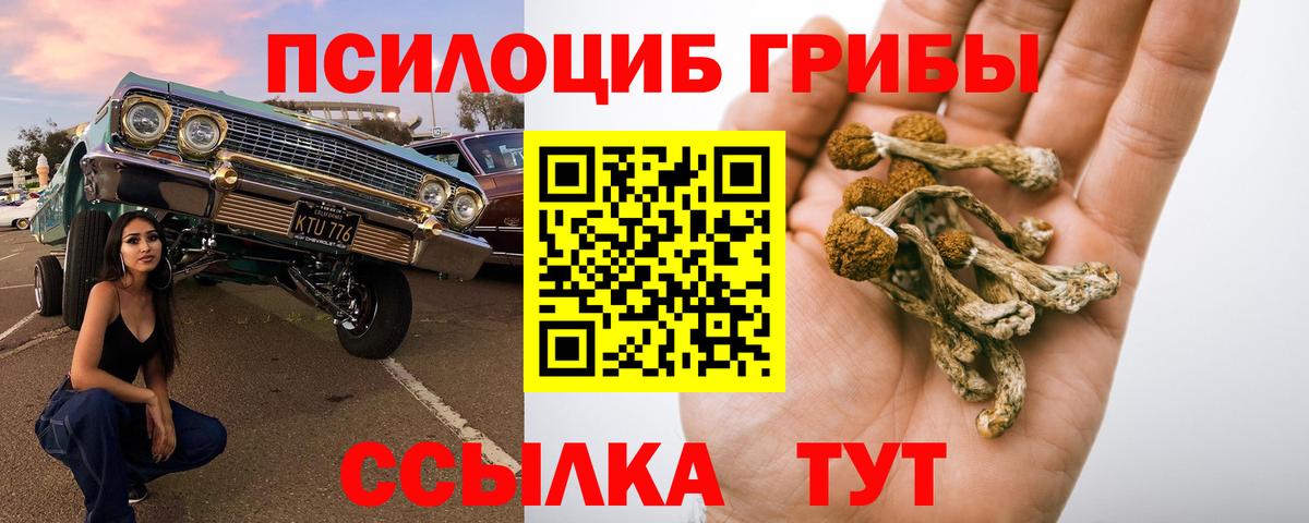 Псилоцибиновые грибы мухоморы  где купить наркоту  Вход с VPN  Сафоново  Галлюциногенные грибы GOLDEN TEACHER 