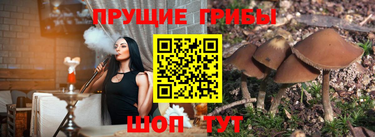 Псилоцибиновые грибы MAGIC MUSHROOMS Сафоново